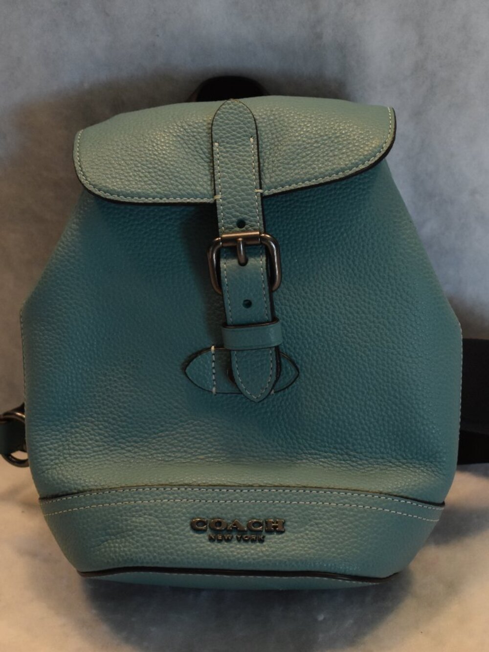 Coach Hudson Small Backpack Sling Mini
